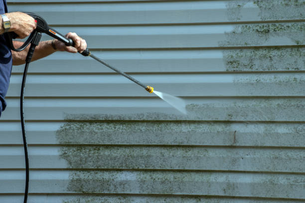 Best Roof Washing  in Trevorton, PA